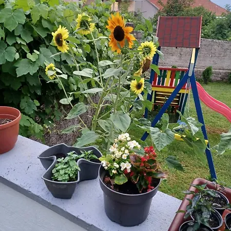 Veranije Daire